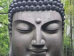 -杭州植物园