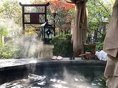 -苏州湾·王焰温泉