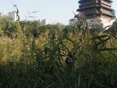 -西安汉城湖景区