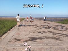 -南汇嘴观海公园