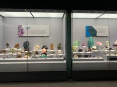 -湖南省地质博物馆