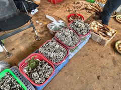 -云南木水花野生菌交易中心