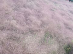 -牛岗山公园