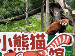 -广州动物园