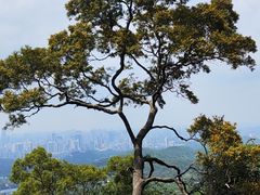 -广州市白云山风景名胜区