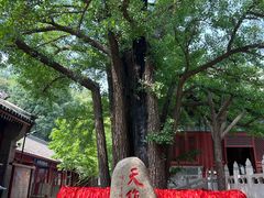 -红螺寺