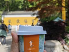 -灵隐飞来峰景区