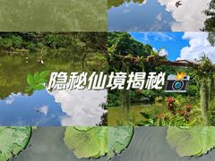 -深圳市中科院仙湖植物园
