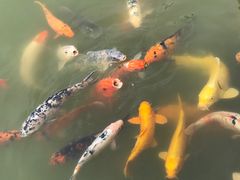 景点-檀园
