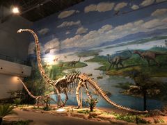 -自贡恐龙博物馆