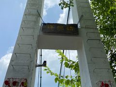 -西双版纳原始森林公园
