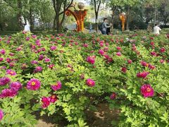 -洛阳市隋唐城遗址植物园