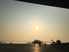 -宝安西湾红树林湿地公园