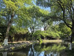 -八大山人梅湖景区