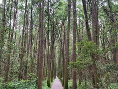 -同里国家湿地公园