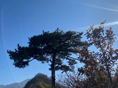 -秦岭终南山世界地质公园翠华山景区