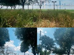 -武昌江滩