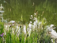 -西安市长乐公园