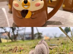 -天目湖涵田度假村