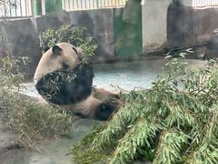 -安吉竹博园