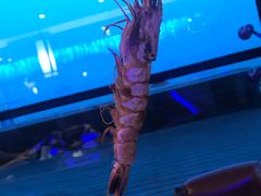 -蟹之国·精品蟹料理(极地店)