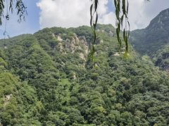 -秦岭终南山世界地质公园翠华山景区