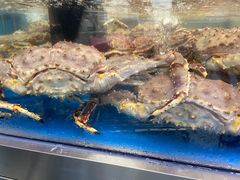 -盒马X会员店(上海森兰商都店)