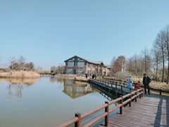 -宁波杭州湾国家湿地公园