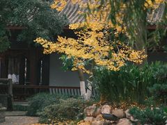 -乐山乌木文化博览苑