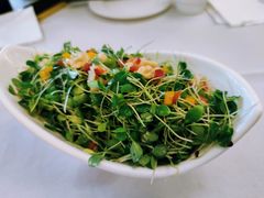 香椿拌桃仁-峨嵋酒家(地安门店)