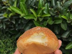 泡芙-UH祐禾(光谷世界城店)