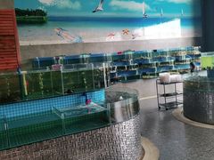 水产区-蓝珊甄选海鲜自助·火锅大排档(近阿那亚店)