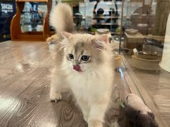 -宠物世家(仲盛世界商城店)