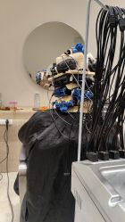 -Mentor Hair Salon