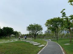 -宝安西湾红树林湿地公园