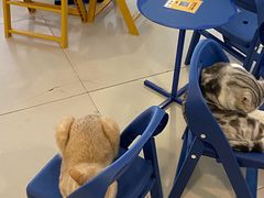 -平行世界·猫咖(首经贸店)