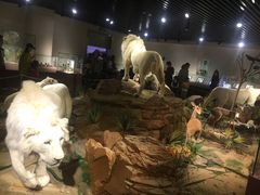 -陕西自然博物馆