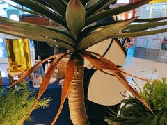 -兰湘子·湘菜小炒(济南领秀城店)