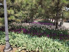 -石家庄市植物园