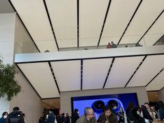 -Apple零售店(苏州店)