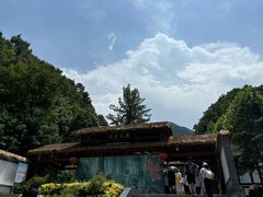 -栾川竹海野生动物园