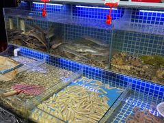 水产区-必点海鲜·鲅鱼水饺(鞍山西道店)