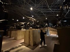 -世界恐龙谷景区