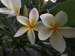 -北国之春国宴(乌兰察布店)