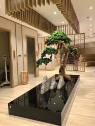 -HQ半永久纹绣纹眉