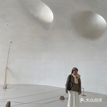 沙丘美术馆  就是在沙丘下面的一座美术馆 