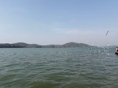 -水上明月·湖景餐厅