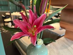 -南堂馆·新川菜(春熙路店)