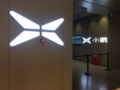 -小鹏汽车体验中心(苏州龙湖狮山天街店)