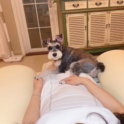 -Adore nail日式美甲美睫